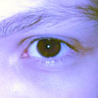 _s.a.u.r.a._