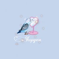 shopyvox
