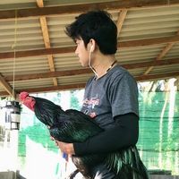 pakorn.333