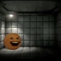 kokonaharuka_official