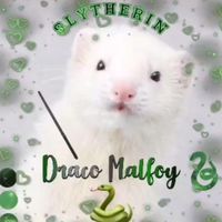 draco.malfoy41