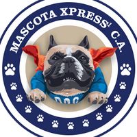 mascotaxpress