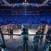fade_mma