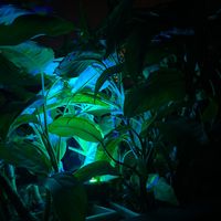 mariagracia.sanchezr