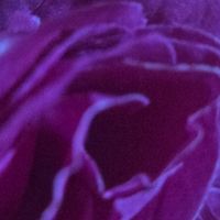 jeeflinecomplexe77707