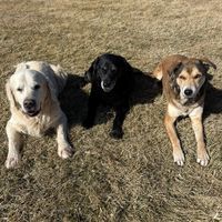 angelnmemphisnfriends