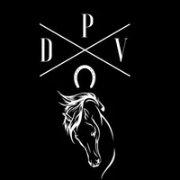 original sound - pontodevaqueira