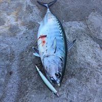 montenegro_fishing