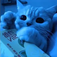 original sound - edit_audios808