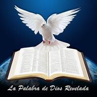 buenanuevadesalbacion