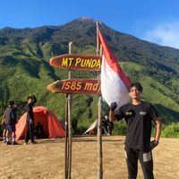 suara asli - roinaldo