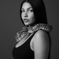 perugini_vnzla