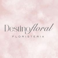 destinofloralcln