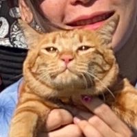 catnunaa