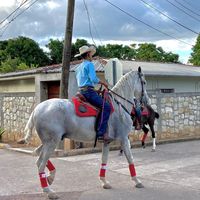 jarolvalladares29
