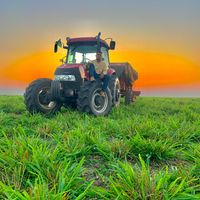 status_agrosertanejo_mt