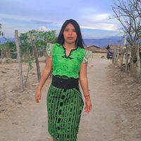 laceckita502