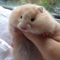 nhạc nền - doelee1000fl