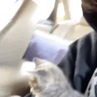 original sound - .444mk