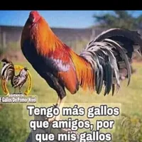 original sound - allosuiid