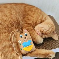 Ірис читає кото реп