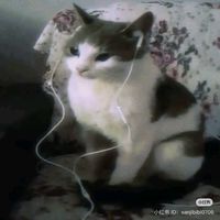 оригинальный звук