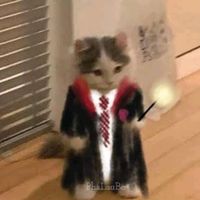 kuromi....000
