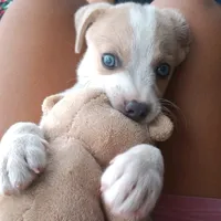 original sound - ff_kassy22