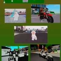 ceciliaxd594