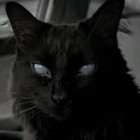 black.demon8743