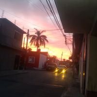 jugador_de_juegos_509_