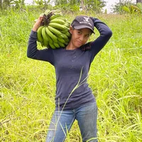 original sound - neldarizo0