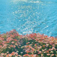 original sound - all.ysq