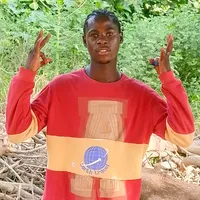 original sound - lionkin800