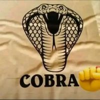 cobra03694