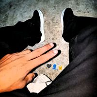 luisandi593