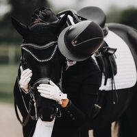 horsesedits3