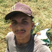 bigodinho7980