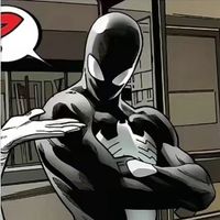 wtss_ant