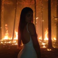 tomichajasmine