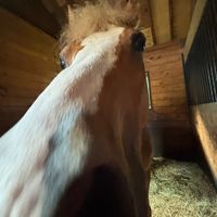 liv_eq20