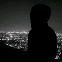fe_l1x_