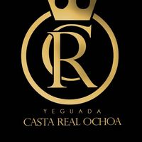 yeguadacastarealochoa1