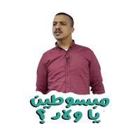 sir.elshamy