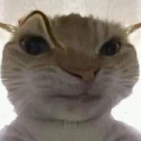 user727251993