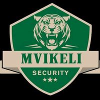 mvikeli.security