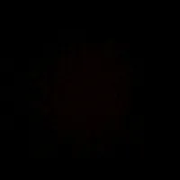 original sound - ppedrolucas11