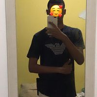 rf_trem231