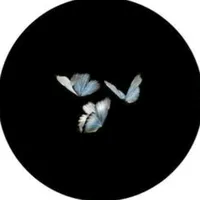 original sound - p4lomha