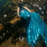 .uma.sereia.qualquer